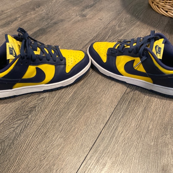 Nike Michigan dunk low main image 6